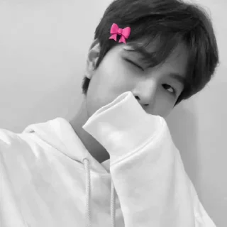 Sticker from @han_leekn
