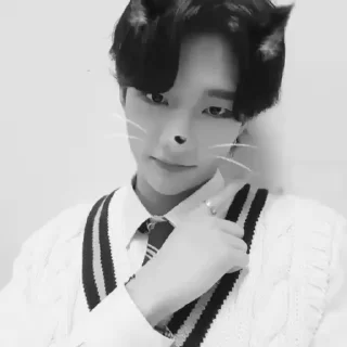 🐈‍⬛ emoji hyunjin fr @han_leekn Telegram sticker 3 of 45