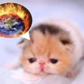 🌟 emoji какой ужас -★ Telegram sticker 6 of 51