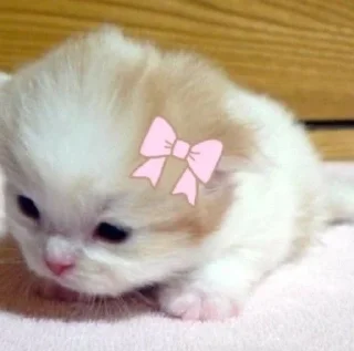 🌟 emoji какой ужас -★ Telegram sticker 22 of 51