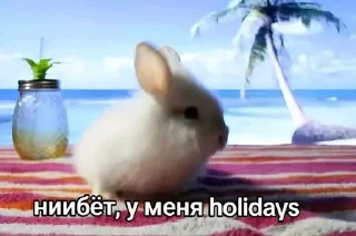 🌟 emoji картинки из комментов в тикито Telegram sticker 13 of 86