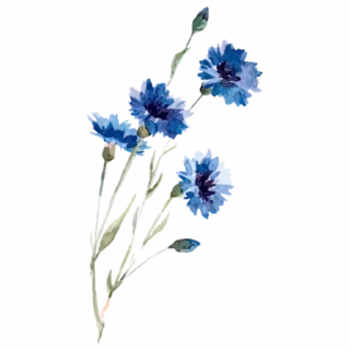 🌸 emoji Blue 💙 @xkysluv Telegram sticker 22 of 53