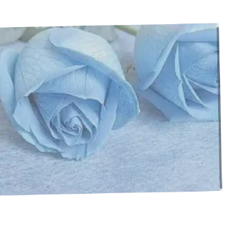 🌹 emoji Blue aesthetic Telegram sticker 8 of 9