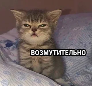 Sticker from Кисики
