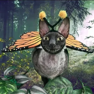 🦇 emoji ЯДОВИТЫЙ И ЛЕТУЧИЙ. Telegram sticker 24 of 99