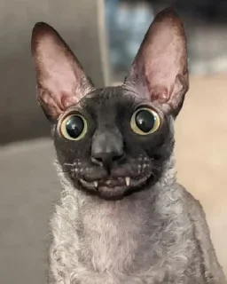 🦇 emoji ЯДОВИТЫЙ И ЛЕТУЧИЙ. Telegram sticker 15 of 99