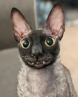🦇 emoji ЯДОВИТЫЙ И ЛЕТУЧИЙ. Telegram sticker 23 of 99