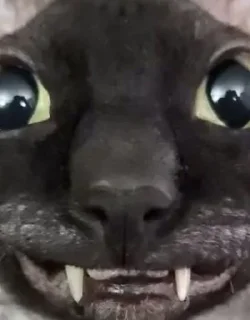 🦇 emoji ЯДОВИТЫЙ И ЛЕТУЧИЙ. Telegram sticker 7 of 99