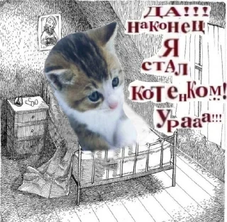 Sticker from пак от шызи