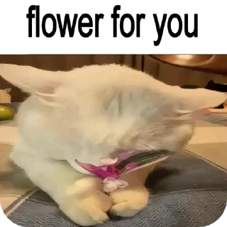 Sticker from <3
