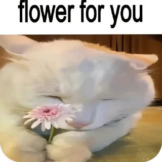 Sticker from <3