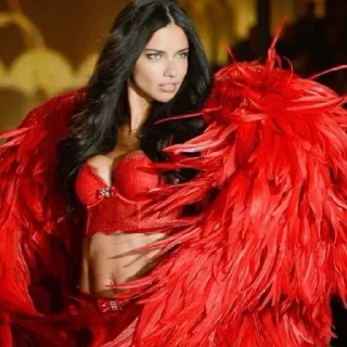 Sticker from adriana lima rbs 🐆 @elysticks