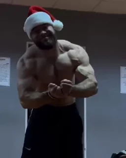 🎄 emoji GYM MASTER Telegram sticker 20 of 32