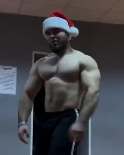 🎄 emoji GYM MASTER Telegram sticker 19 of 32