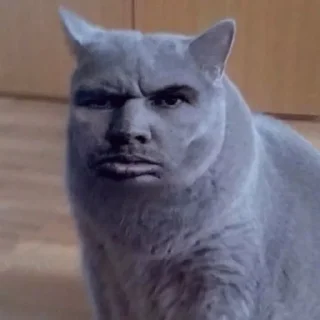 😑 emoji на каждый день Telegram sticker 14 of 45