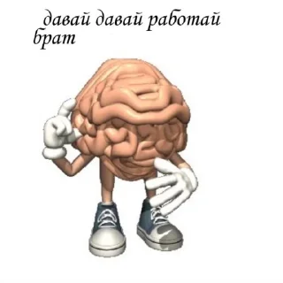 🧠 emoji на каждый день Telegram sticker 11 of 45