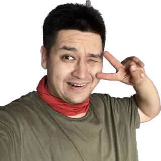 🇰🇿 emoji Черепах на каждый день Telegram sticker 2 of 34