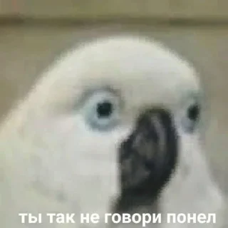 😏 emoji на каждый день Telegram sticker 13 of 45