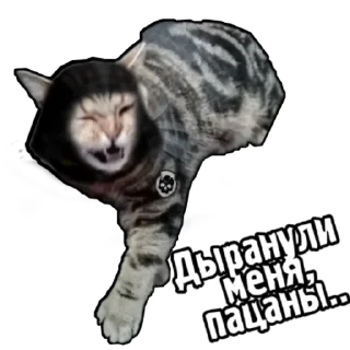 Sticker from S.T.A.L.K.E.R. Universe 4 By @StalkerUniverse