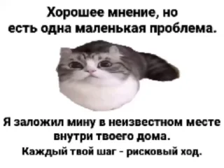 👨‍✈️ emoji Стикеры на заказ@CAT77777top Telegram sticker 12 of 50