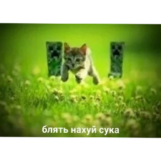 😡 emoji Для важных переговоров Telegram sticker 12 of 34