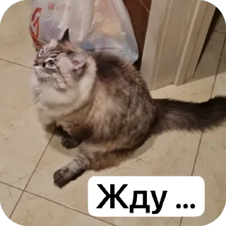 🫥 emoji Жирочек пирожочек Telegram sticker 18 of 24