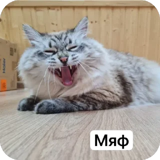 ❤ emoji Жирочек пирожочек Telegram sticker 19 of 24