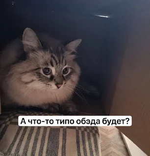 🍔 emoji Жирочек пирожочек Telegram sticker 12 of 24