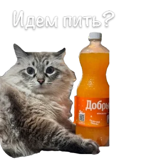 🍺 emoji Жирочек пирожочек Telegram sticker 23 of 24