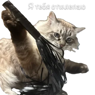 🌹 emoji Жирочек пирожочек Telegram sticker 24 of 24