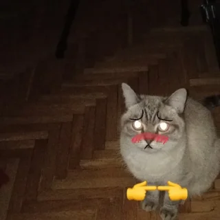 😫 emoji мяу мяу мяу мяу Telegram sticker 23 of 33