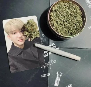 🚭 emoji милые котёнки Telegram sticker 17 of 38