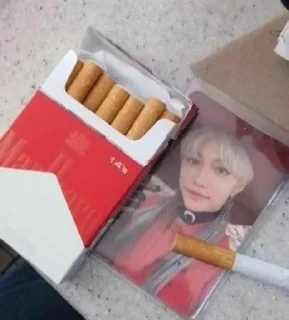 🚬 emoji милые котёнки Telegram sticker 18 of 38