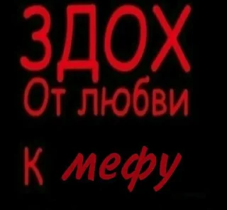 💀 emoji милые котёнки Telegram sticker 8 of 38