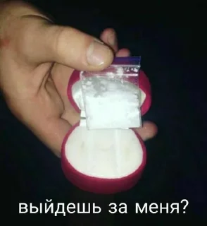 💍 emoji милые котёнки Telegram sticker 2 of 38