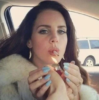 🚬 emoji милые котёнки Telegram sticker 12 of 38