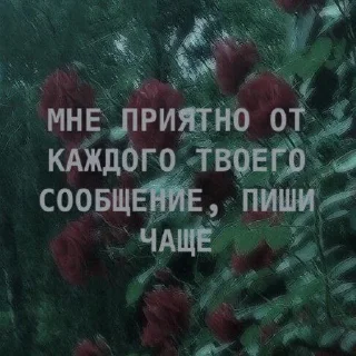 🌟 emoji я люблю тебя. Telegram sticker 12 of 42