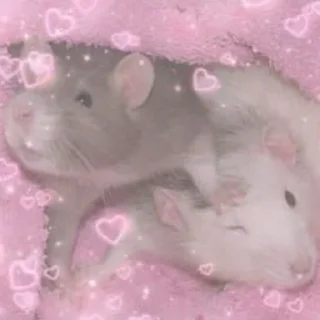 ❤️ emoji RAT!!! 🐀 @WaveProduced Telegram sticker 13 of 40