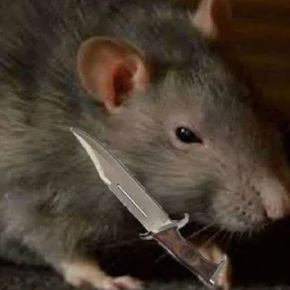 🔪 emoji RAT!!! 🐀 @WaveProduced Telegram sticker 24 of 40