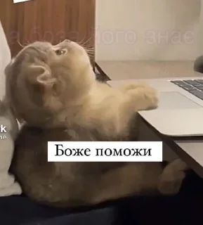 Sticker from Щиищ