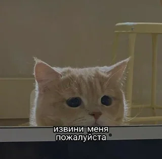 Sticker from Щиищ