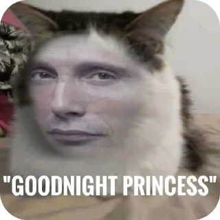 🐱 emoji ANAL Telegram sticker 14 of 37