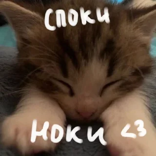 ⭐ emoji больше стикеров тут: @drowndreams Telegram sticker 16 of 18