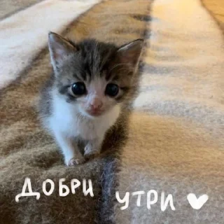 ⭐ emoji больше стикеров тут: @drowndreams Telegram sticker 5 of 18