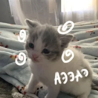 ⭐ emoji больше стикеров тут: @drowndreams Telegram sticker 1 of 18