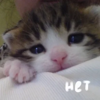 ⭐ emoji больше стикеров тут: @drowndreams Telegram sticker 18 of 18
