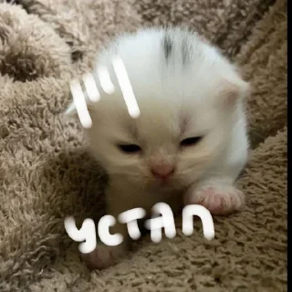 ⭐ emoji больше стикеров тут: @drowndreams Telegram sticker 7 of 18