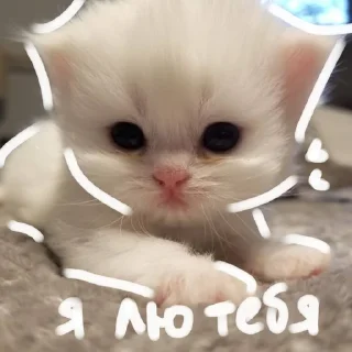 ⭐ emoji больше стикеров тут: @drowndreams Telegram sticker 13 of 18
