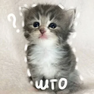 ⭐ emoji больше стикеров тут: @drowndreams Telegram sticker 14 of 18