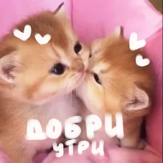 ⭐ emoji больше стикеров тут: @drowndreams Telegram sticker 6 of 18